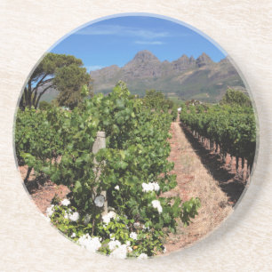 Uitzicht op wijngaarden. Stellenbosch Zandsteen Onderzetter