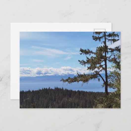 Uitzicht over de bomen van East Sooke, BC, Canada Briefkaart (Voorkant / Achterkant)