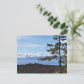 Uitzicht over de bomen van East Sooke, BC, Canada Briefkaart (Staand voorkant)