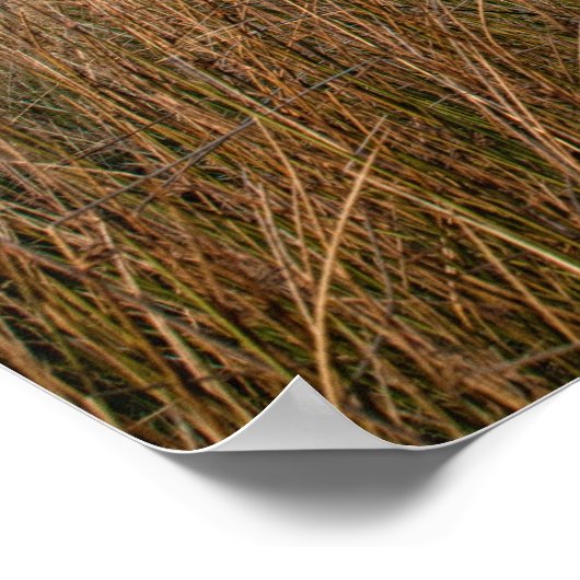 Uitzicht over de Moors Poster (Hoek)