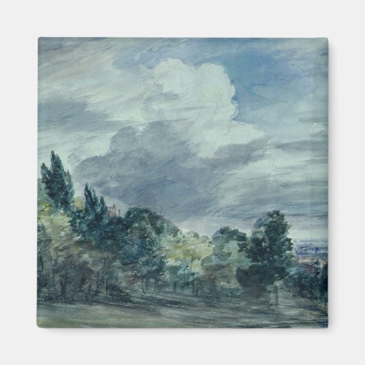 Uitzicht over een breed landschap, met bomen in de magneet (Voorkant)