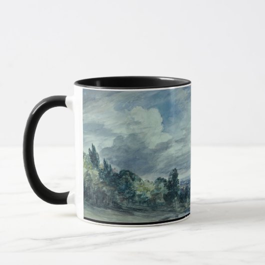 Uitzicht over een breed landschap, met bomen in de mok (Links)