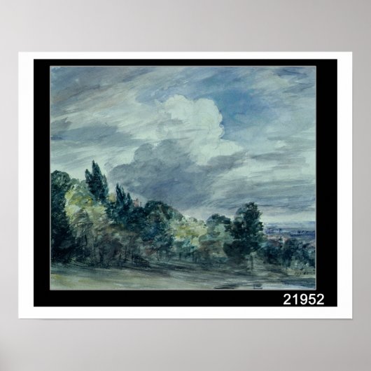 Uitzicht over een breed landschap, met bomen in de poster (Voorkant)