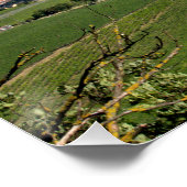 Uitzicht over Wenen van Kahlenberg Perfect Poster (Hoek)