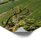 Uitzicht over Wenen van Kahlenberg Poster (Hoek)