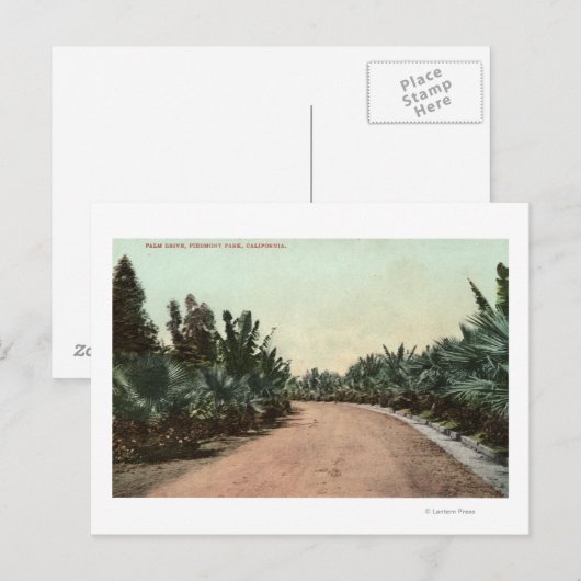 Uitzicht Palmschijf Briefkaart (Voorkant / Achterkant)