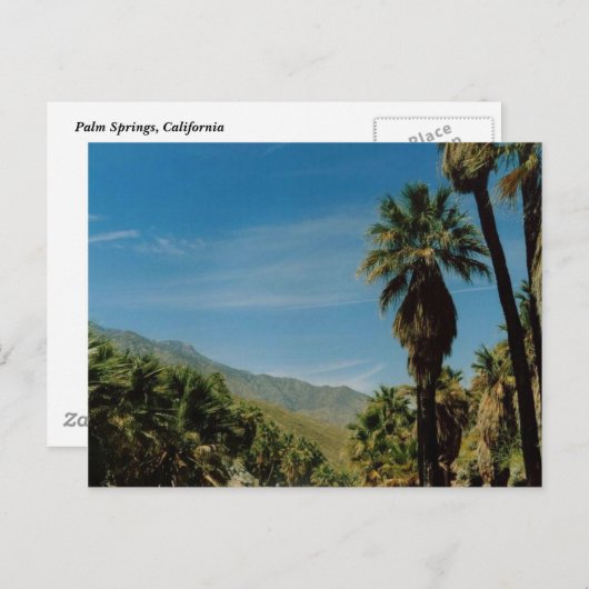 Uitzicht palmveren briefkaart (Voorkant / Achterkant)