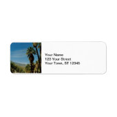 Uitzicht palmveren etiket (Voorkant)