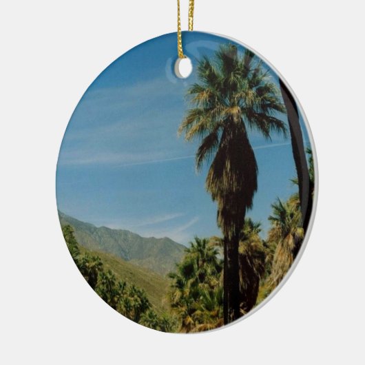 Uitzicht palmveren keramisch ornament (Links)