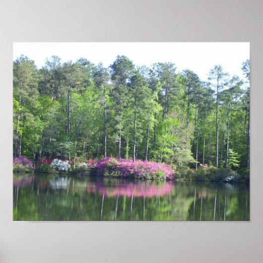 Uitzicht Poster (Voorkant)