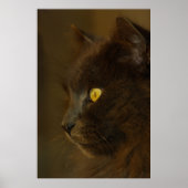 Uitzicht Poster (Voorkant)