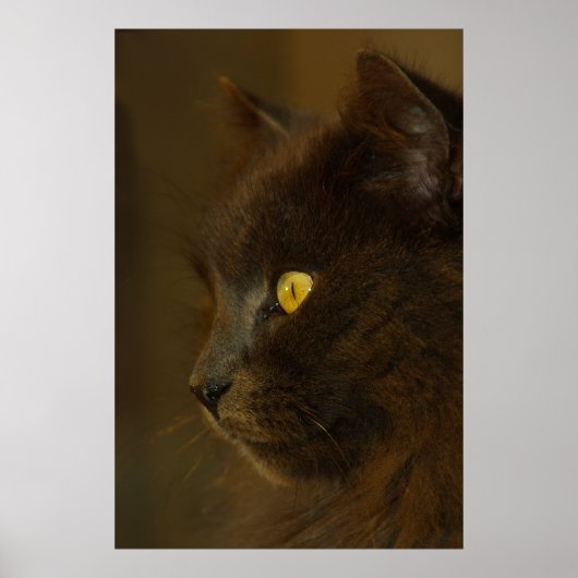 Uitzicht Poster (Voorkant)