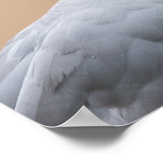 Uitzicht Poster (Hoek)