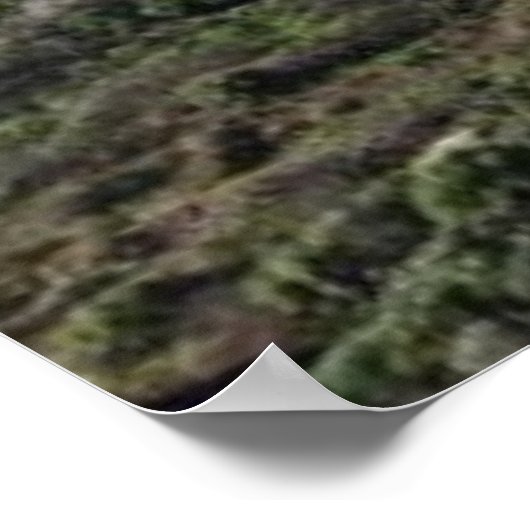 Uitzicht Poster (Hoek)