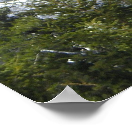 Uitzicht Poster (Hoek)