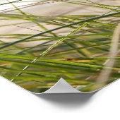 uitzicht poster zandgras (Hoek)