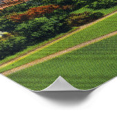 Uitzicht Presidentieel bereik Poster (Hoek)