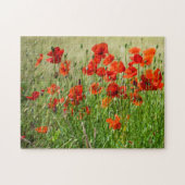 Uitzicht puzzel voor rode papavervelden legpuzzel (Horizontaal)