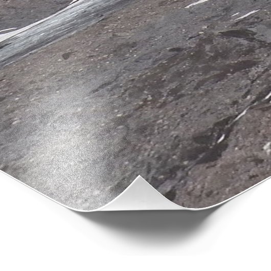 Uitzicht Rainier Glacier Foto Afdruk (Hoek)