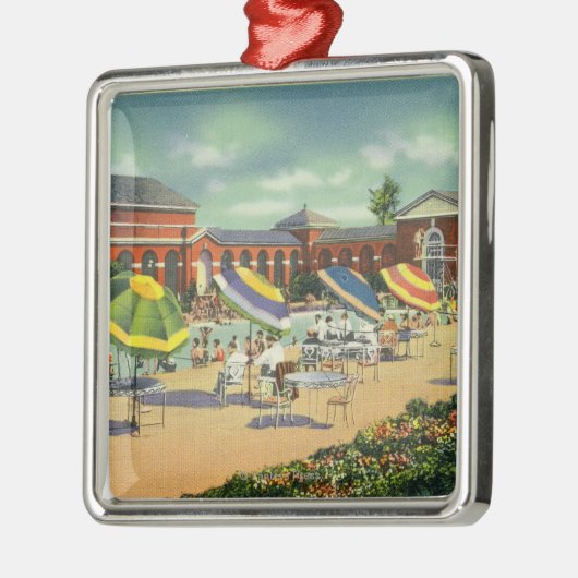 Uitzicht Saratoga Spa Recreation Unit Metalen Ornament (Links)