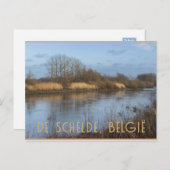 Uitzicht Schelde, Dendermonde, België Briefkaart (Voorkant / Achterkant)