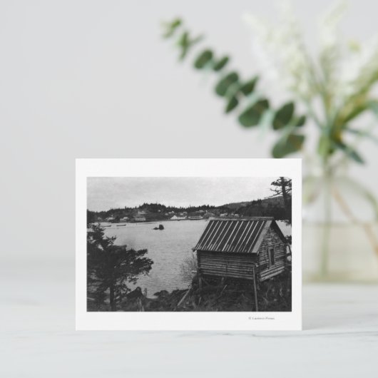 Uitzicht Seldovia, Alaska van over het water Briefkaart (Staand voorkant)