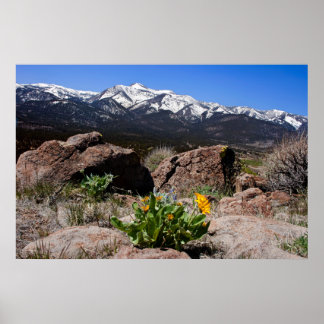 Uitzicht Sierra Mountain Poster