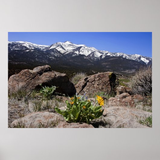 Uitzicht Sierra Mountain Poster (Voorkant)