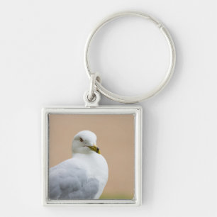 Uitzicht Sleutelhanger
