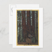 Uitzicht "Three Graces" in Big Trees Park Briefkaart (Voorkant / Achterkant)