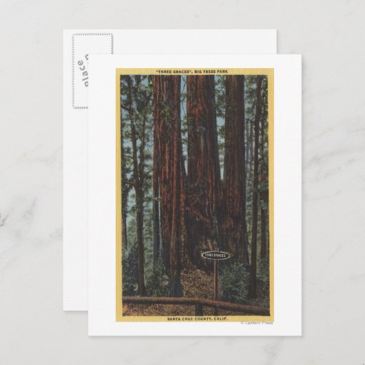 Uitzicht "Three Graces" in Big Trees Park Briefkaart (Voorkant / Achterkant)