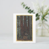 Uitzicht "Three Graces" in Big Trees Park Briefkaart (Staand voorkant)