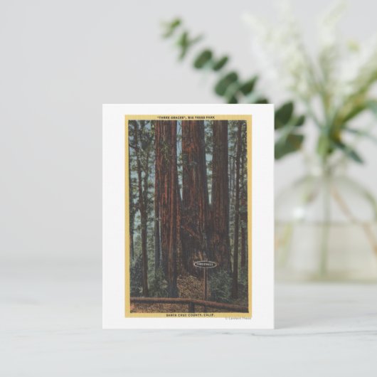 Uitzicht "Three Graces" in Big Trees Park Briefkaart (Staand voorkant)