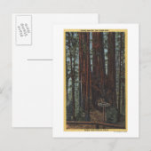 Uitzicht "Three Graces" in Big Trees Park Briefkaart (Voorkant / Achterkant)