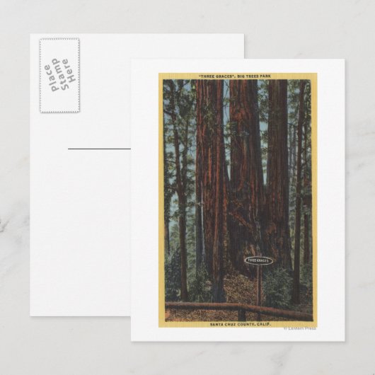 Uitzicht "Three Graces" in Big Trees Park Briefkaart (Voorkant / Achterkant)
