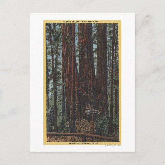 Uitzicht "Three Graces" in Big Trees Park Briefkaart (Voorkant)