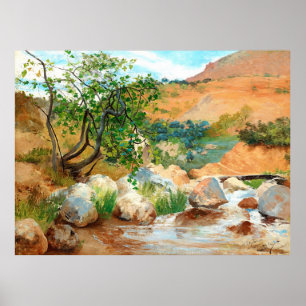 Uitzicht Trees Rocks Mountain Poster