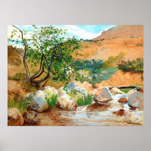 Uitzicht Trees Rocks Mountain Poster (Voorkant)