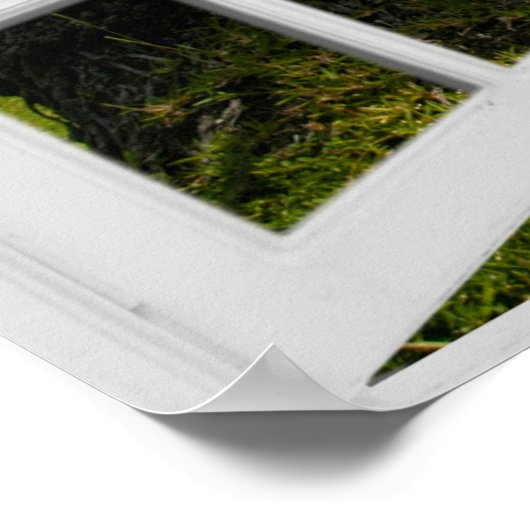 Uitzicht Tropisch balkvenster Poster (Hoek)