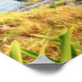 Uitzicht Tulum Ruins, God of Winds Temple, Mexico Poster (Hoek)