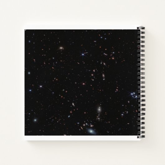 Uitzicht tussen de Vissen & Andromeda Constellatio Notitieboek (Achterkant)