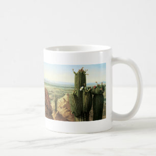 Uitzicht uit de Maricopa-berg bij de Gila Koffiemok
