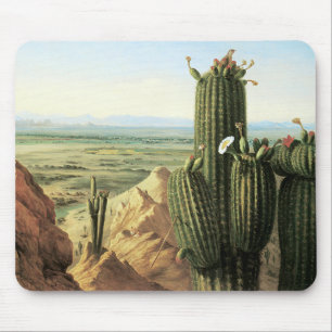 Uitzicht uit de Maricopa-berg bij de Gila Muismat