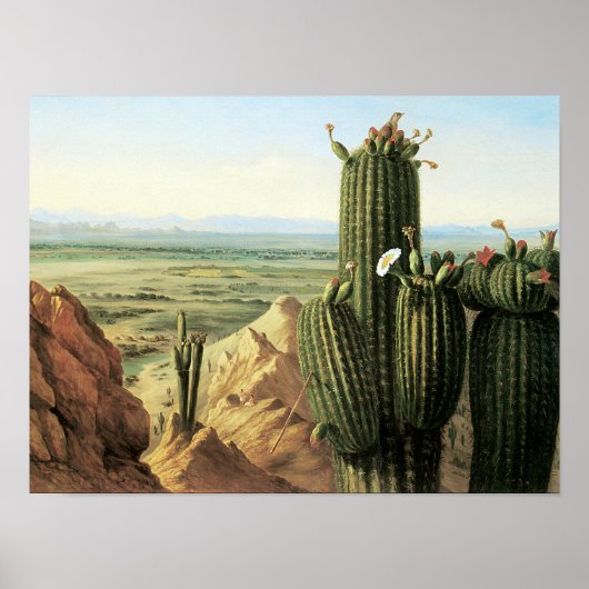 Uitzicht uit de Maricopa-berg bij de Gila Poster (Voorkant)