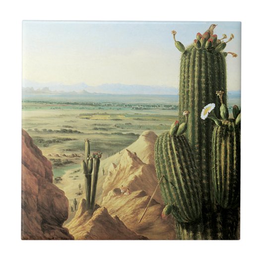 Uitzicht uit de Maricopa-berg bij de Gila Tegeltje (Voorkant)