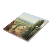 Uitzicht uit de Maricopa-berg bij de Gila Tegeltje (Zijkant)