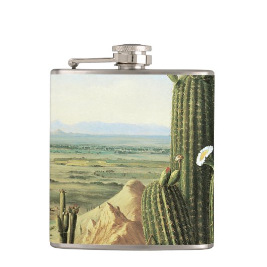 Uitzicht uit de Maricopa-berg nabij de Gila Heupfles (Voorkant)