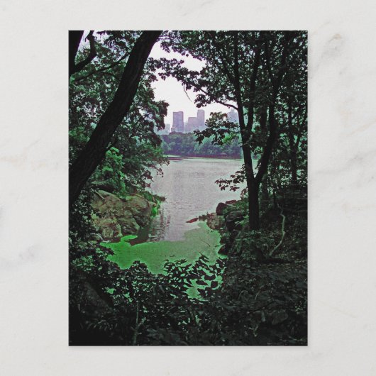Uitzicht uit het Ramble-Central Park Colorized Bri Briefkaart (Voorkant)