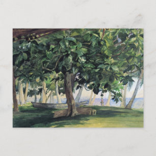 "Uitzicht uit Hut" - Briefkaart John LaFarge