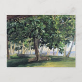 "Uitzicht uit Hut" - Briefkaart John LaFarge (Voorkant)